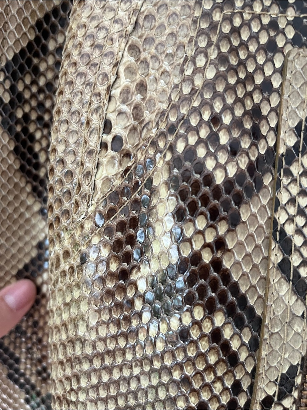 Genuine Python Coach jacket - Picture 5 of 16